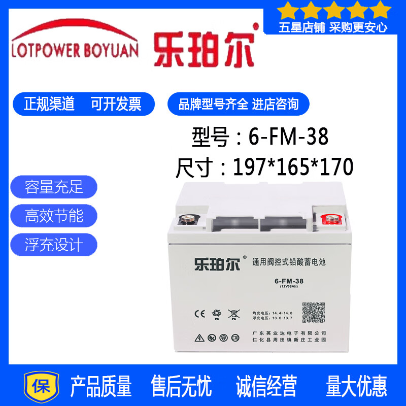乐珀尔UPS蓄电池6-FM-12V38AH40AH50AH55AH阀控式免维护铅酸电瓶 6-FM-38/12V38AH