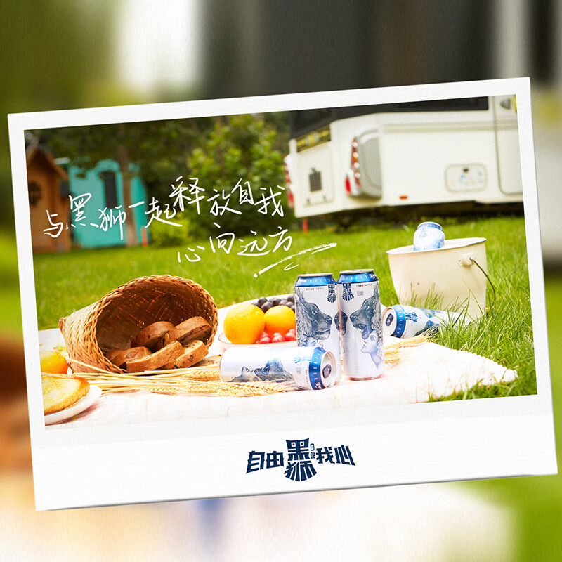 雪花啤酒 黑狮 黑狮白啤500ml*6听+纯酿白啤 500mL 18罐 组合装