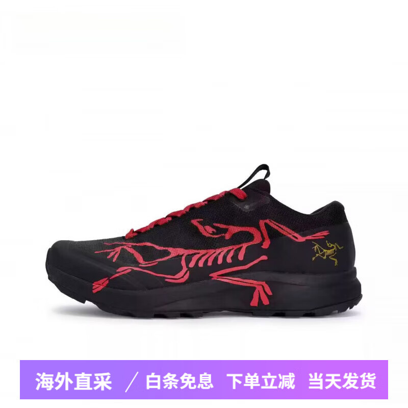 始祖鳥（ARC'TERYX）球鞋定制 Aerios Fl 2 GTX 金龍戲墨 低幫男女款戶外功能鞋休閑鞋  Team80-男女化石秘境b 42 官方鑒別，假一賠三
