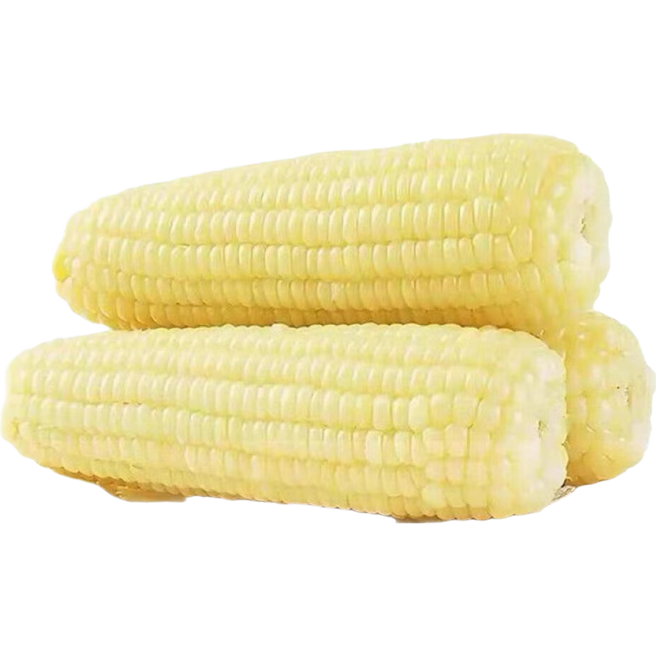 【东东农场专供】正宗头茬东北新鲜糯玉米软糯拉丝真空包装早餐 东北白糯玉米6支*200g+