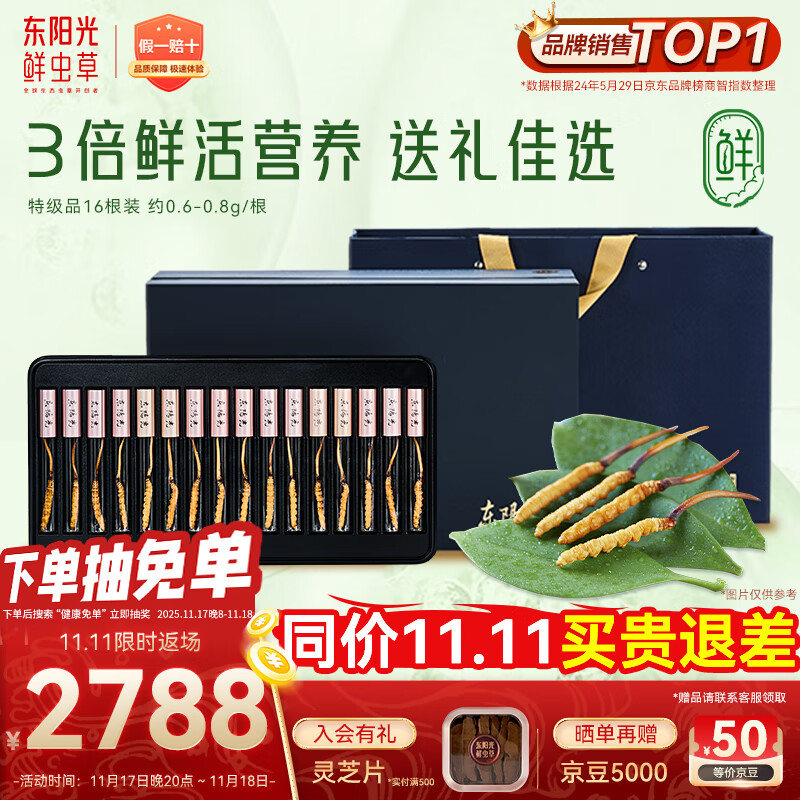 东阳光鲜虫草0.6-0.8g/根16根新鲜冬虫夏草补品送长辈老人源头直发包邮