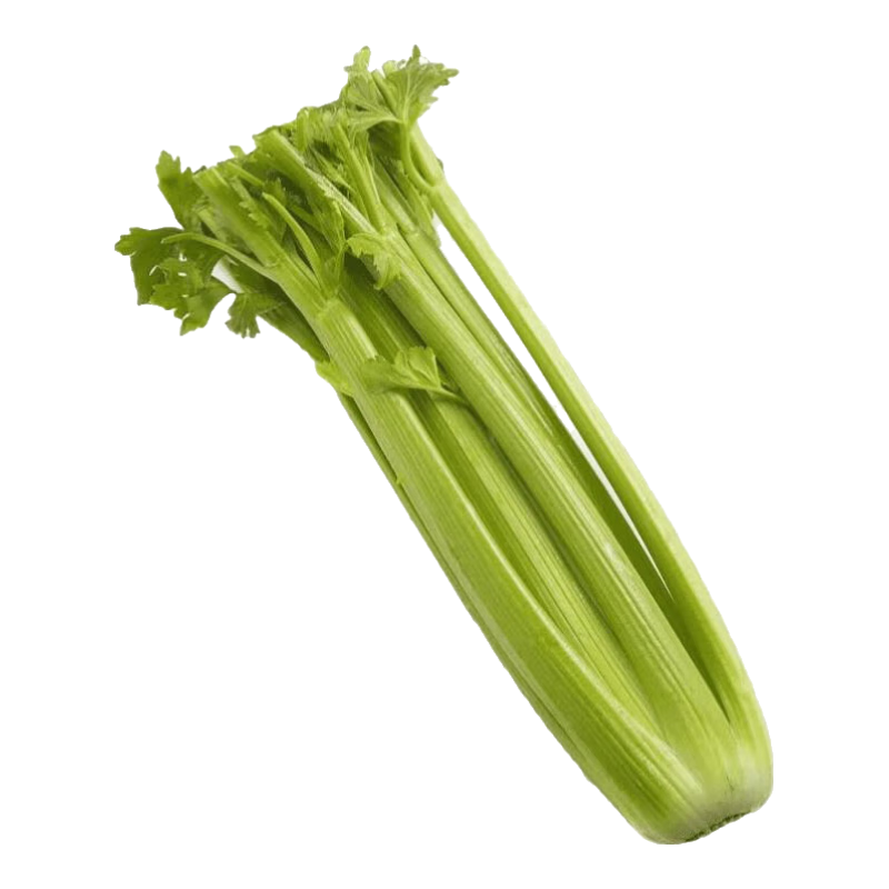 �������ɽ����������ե֭ר���ָ��ַ��ٹ��߲����ʲ�ժ ����4������ 6Ԫ