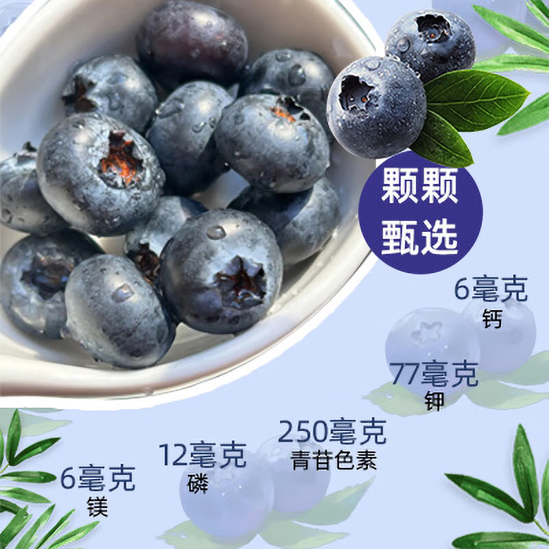 周匠当季现摘水果新鲜云南蓝莓源头直发空运包邮高性价比新年送礼礼盒 18mm+6盒 店长主推爆品（1盒125g）