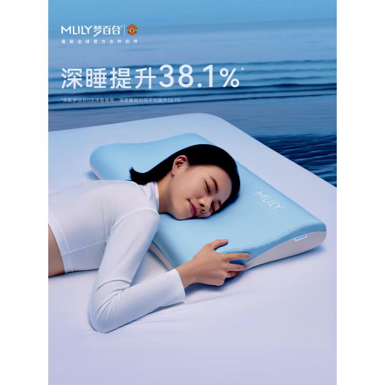 梦百合送礼梦百合0压深睡枕pro记忆棉枕头护颈椎专用助睡眠成人枕芯一对 两只-深睡枕pro-冰沁蓝(70*42*10/7/