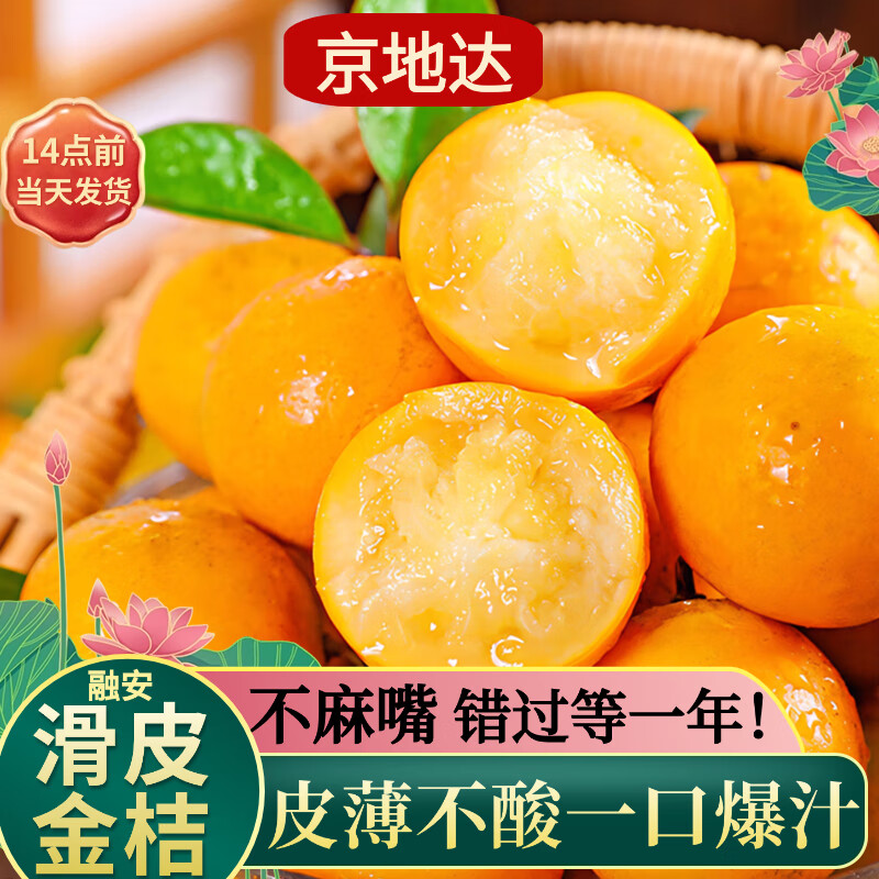 【7折】京地达广西融安滑皮金桔净重3斤单果8g 现摘水果源头直发包邮 ---- 多半有货 | 下1件最优 - 线报酷