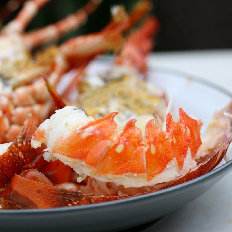 海鲜颂澳洲龙虾