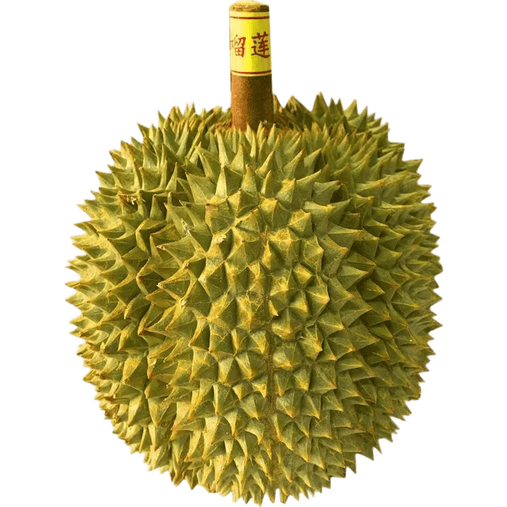 ���� �������� ̩������ ���Ǵ�� ��Ŵ���� ��4�� ����3-4�� 135Ԫ