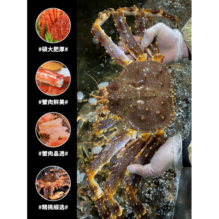 代购蟹鲜活海鲜礼盒10斤特大龙虾帝皇蟹俄罗斯进口活冻冰鲜 花椒蟹2 – 2.5斤