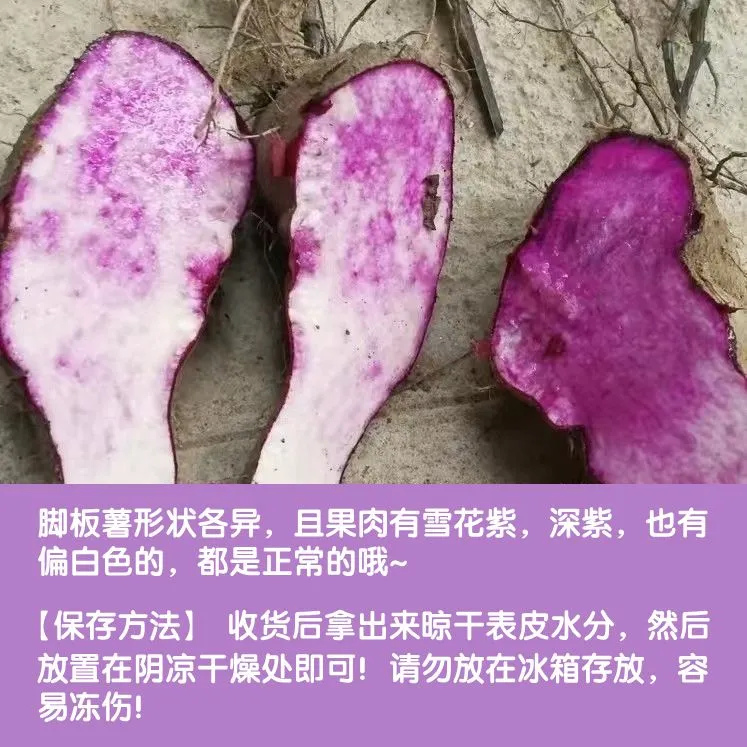 广西正宗脚板薯紫山药老品种紫色皮大薯火苕毛薯新鲜 5.4斤脚板薯（紫山药-形状不规则）含箱