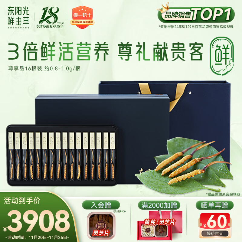 东阳光鲜虫草0.8-1g/根16根新鲜冬虫夏草补品送长辈老人源头直发包邮