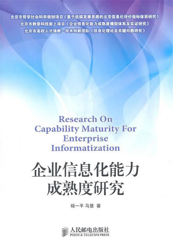 企业信息化能力成熟度研究 杨一平,马慧著
