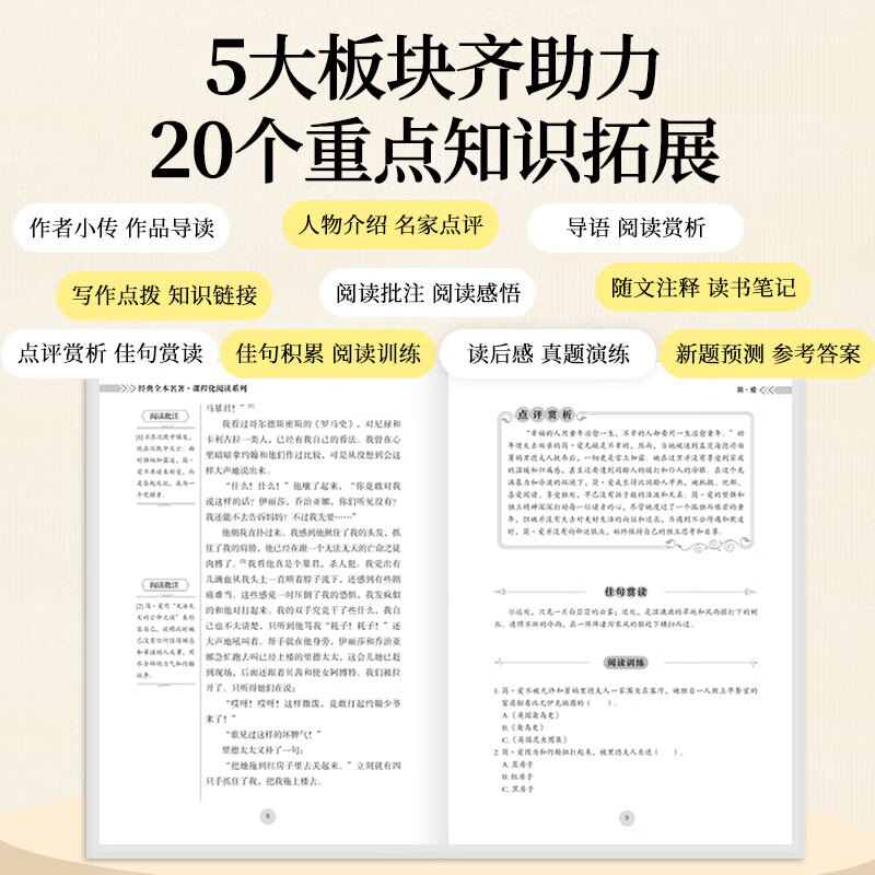 【官方正版包邮】儒林外史 简爱和儒林外史 吴敬梓原著全套九年级下册必读正版课外阅读书籍推荐 水浒传 唐诗三百首 初中生初三9下学期语文书目文学名著 儒林外史简爱人民教育出版社 【热销2册】儒林外史+简