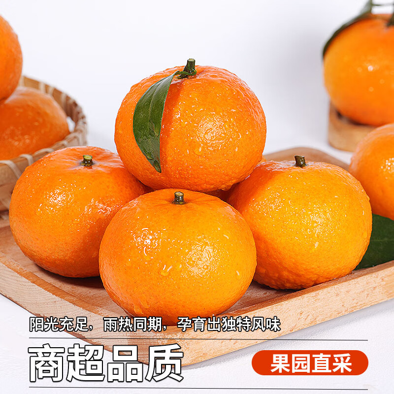 广西沃柑武鸣 纯甜柑橘桔子薄皮多汁沃柑新鲜当季水果 5斤中果果径约60mm