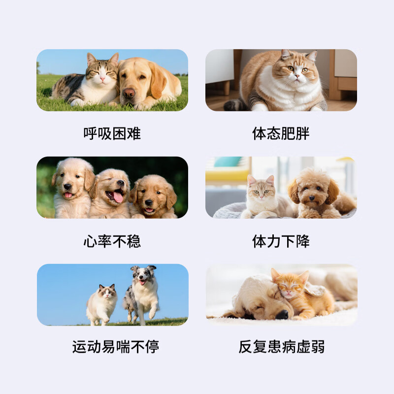 恬宠队长宠物辅酶Q10狗狗猫咪保护调理心脏老龄养护健康辅助犬猫力衰竭 护关节鲨鱼软骨素【300片】+辅酶Q10片【300片】