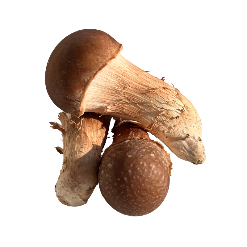 ի_Ʒ δɡʾʳ˳ֻ24HŹ 5-9cmƷ׾500g 59.9Ԫ