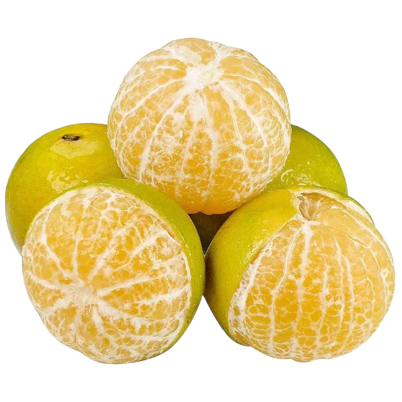 ���ش�����ʵ۸��ٽ۾���4.5�ﵥ��60mm+����ˮ��Դͷֱ������ 45.9Ԫ