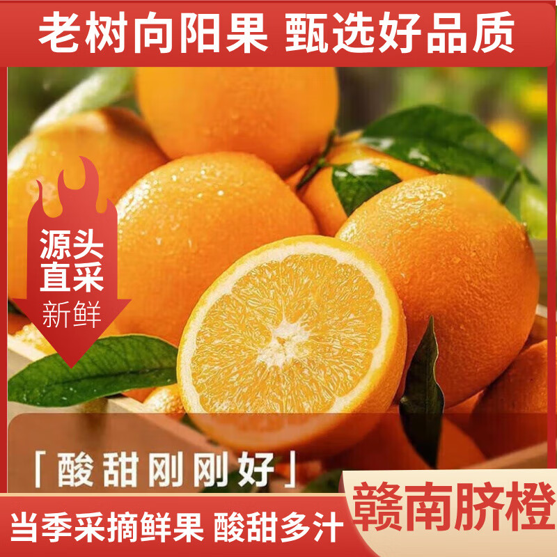 闽农语果正宗赣南脐橙水果【产地直发】应季水果水果江西橙子 10畅卖装【70-80mm】净重8.5斤