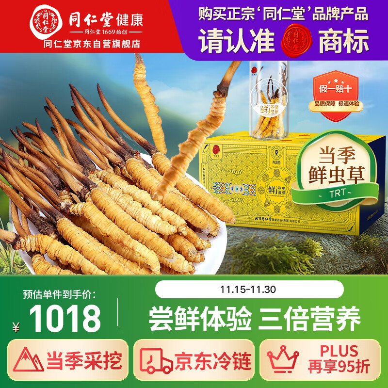 同仁堂（TRT）品牌 新鲜冬虫夏草鲜虫草约0.81-1.0克/根10根装源头直发青海
