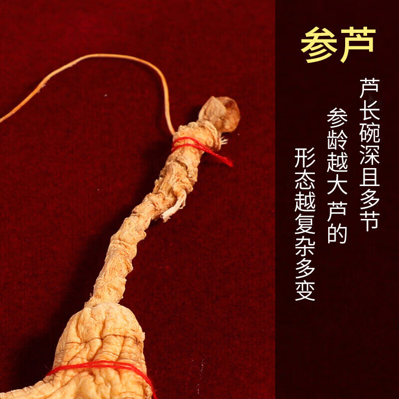 仙草至尊長(zhǎng)白山人參移山參禮盒整枝林下山參泡酒料送長(zhǎng)輩父母滋補(bǔ)禮SN7375 15年以上移山參[二等]