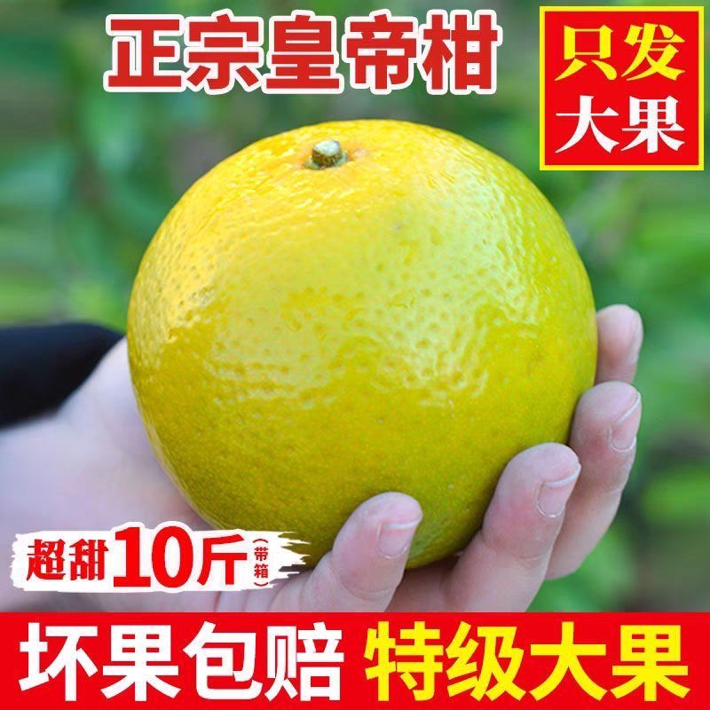 �����ʵ۸� ���ʹ���ˮ�� ���ٽ��� �ָ��۽�ɰ�ǽ� �������9�� 50mm+ 16.99Ԫ