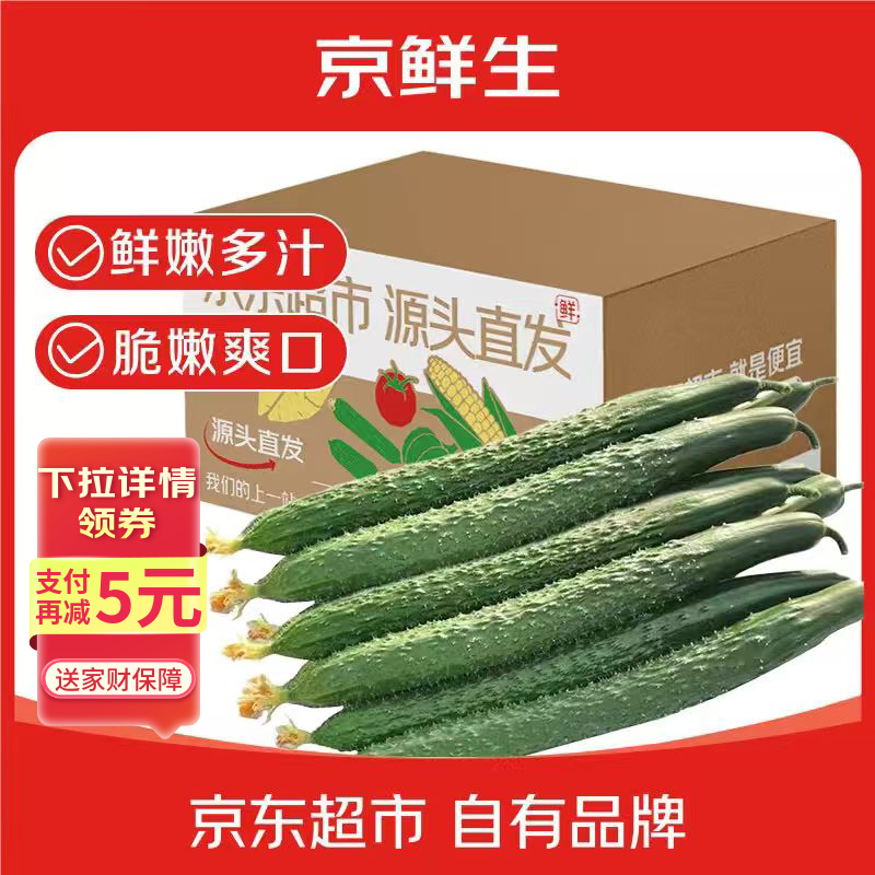京鲜生 山东带刺长黄瓜净重3斤 口感脆爽源头直发包邮
