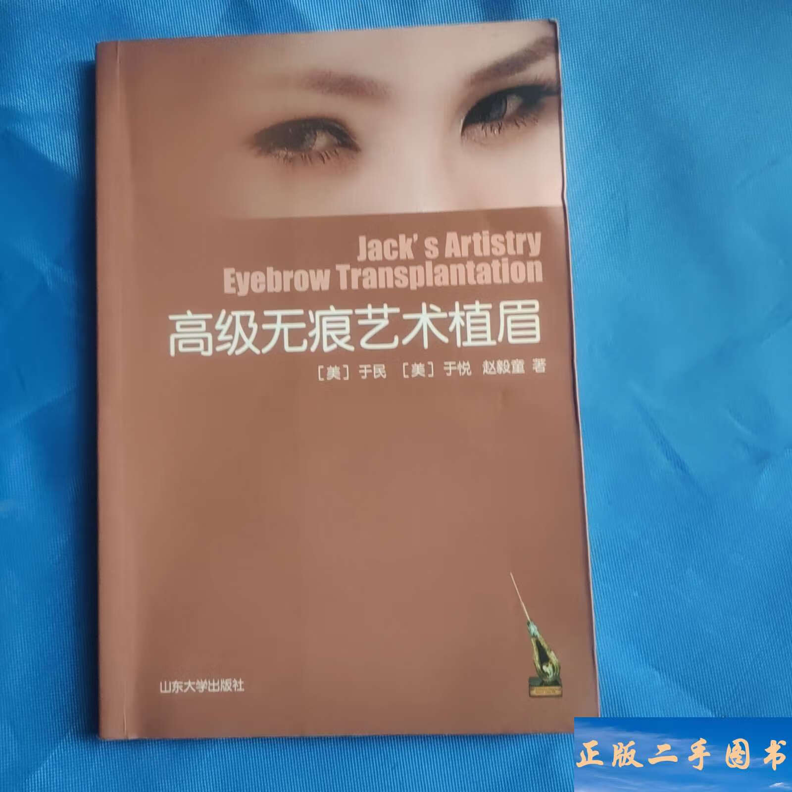 高级无痕艺术植眉 /于民 山东大学