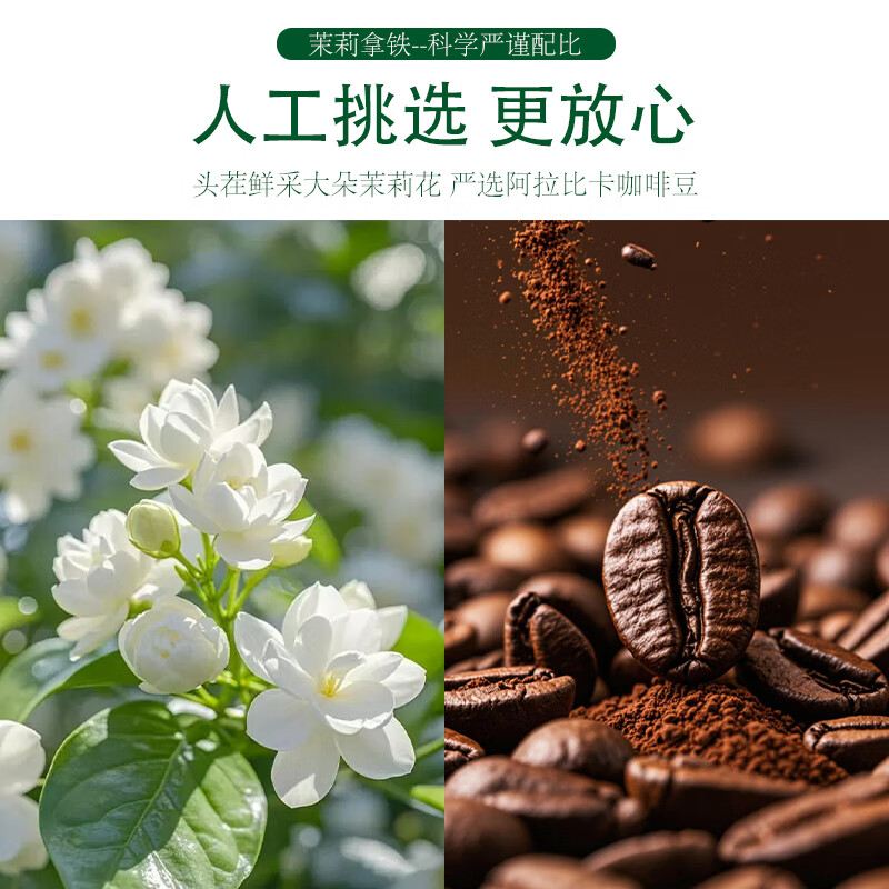 乐比乐即饮拿铁咖啡 浓郁丝滑低脂饮料熬夜提神能量即饮冰咖啡饮料 茉莉拿铁 240ml*8罐