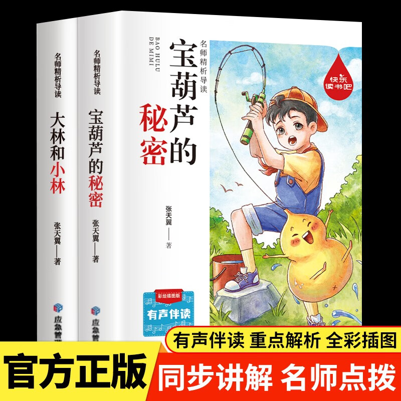 宝葫芦的秘密 大林和小林（全2册）张天翼 三年级上册 小学语文推荐课外阅读经典丛书 名师精析导读彩绘插图有声伴读 儿童文学少儿名著童话故事书