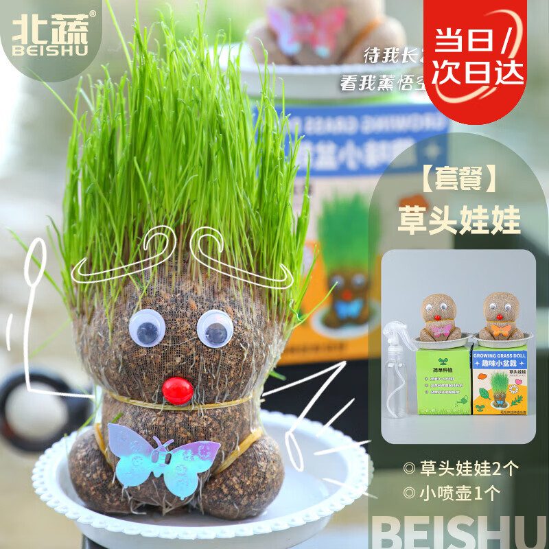 北蔬 长草娃娃创意盆栽桌面浇水就长绿植 草头娃娃带拖套装2个+喷壶
