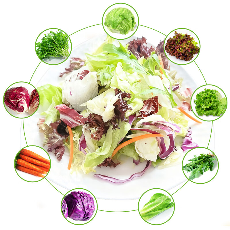 绿食者 蔬菜沙拉150g*3包 生吃蔬菜组合西餐色拉生菜健身轻食沙拉新鲜 沙拉菜3包-无沙拉酱