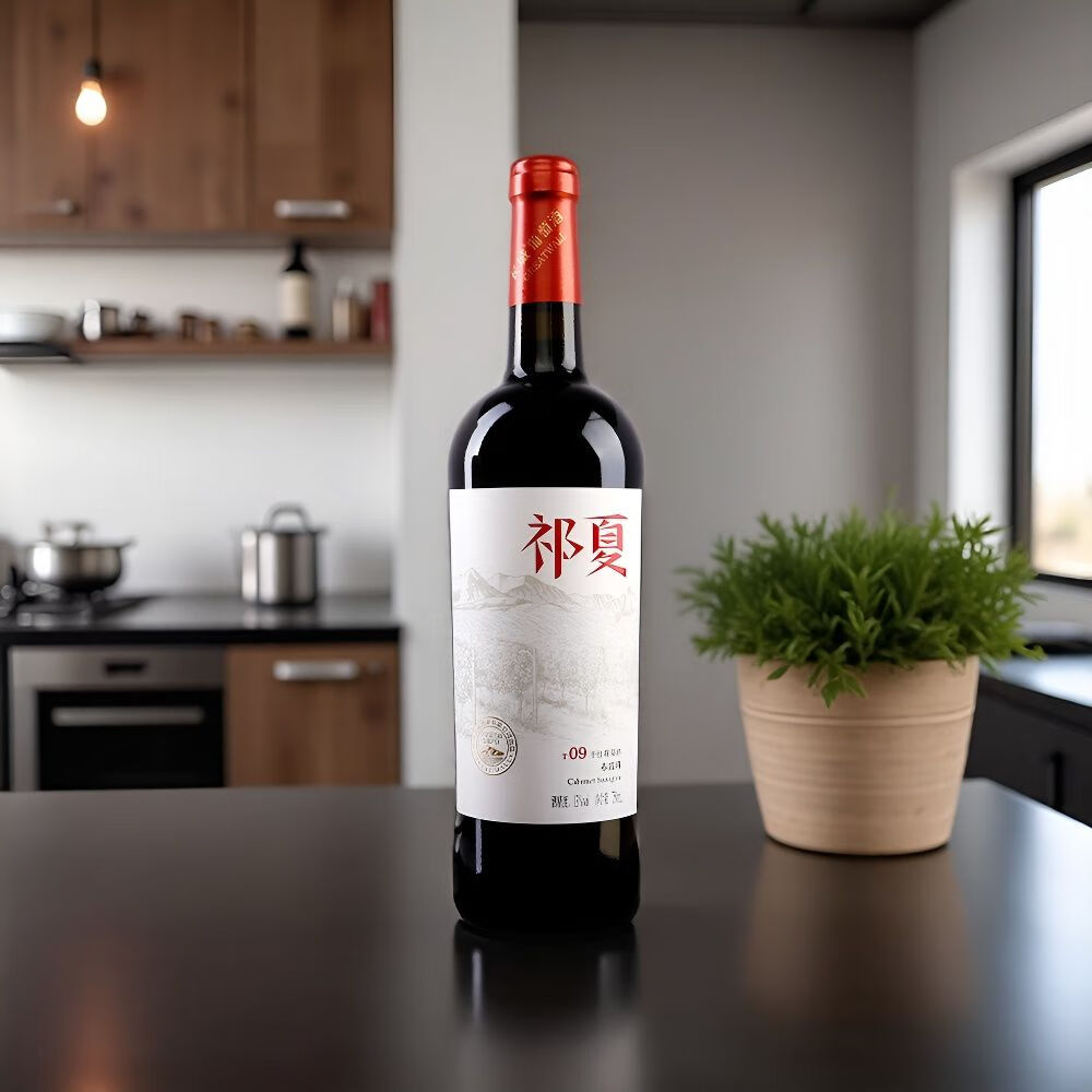 祁夏T09干红葡萄酒 750ml 商务宴请自饮微醺约会节日送礼 13度750ml*6