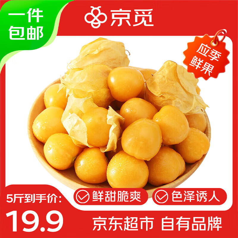 京觅 东北姑娘果5斤装带箱 灯笼果黄菇娘洋姑娘果 新鲜水果 源头直发