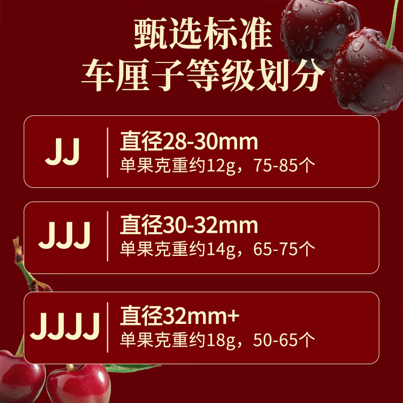 春公子进口水果智利车厘子【JD多地次日达】樱桃原箱车厘子3J 5kg可选 4斤(净重) 带箱5斤【家庭装】高端礼盒 【黑钻级】4J 超级巨无霸 32-34mm