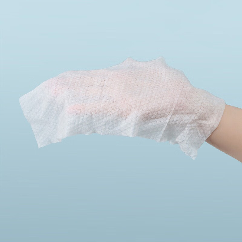 倩挥羽绒服清洁湿巾免水洗擦拭去污去油渍洗涤剂洗神器衣物湿纸巾干洗 【家庭装】羽绒服清洁湿巾12片*20包