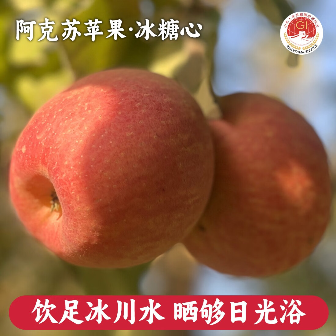 阿克苏苹果冰糖心新疆水果脆甜多汁红旗坡六队直发当季水果礼盒 冰糖心80-85mm【净5斤家庭装】 | 顺丰直发 京东折扣/优惠券