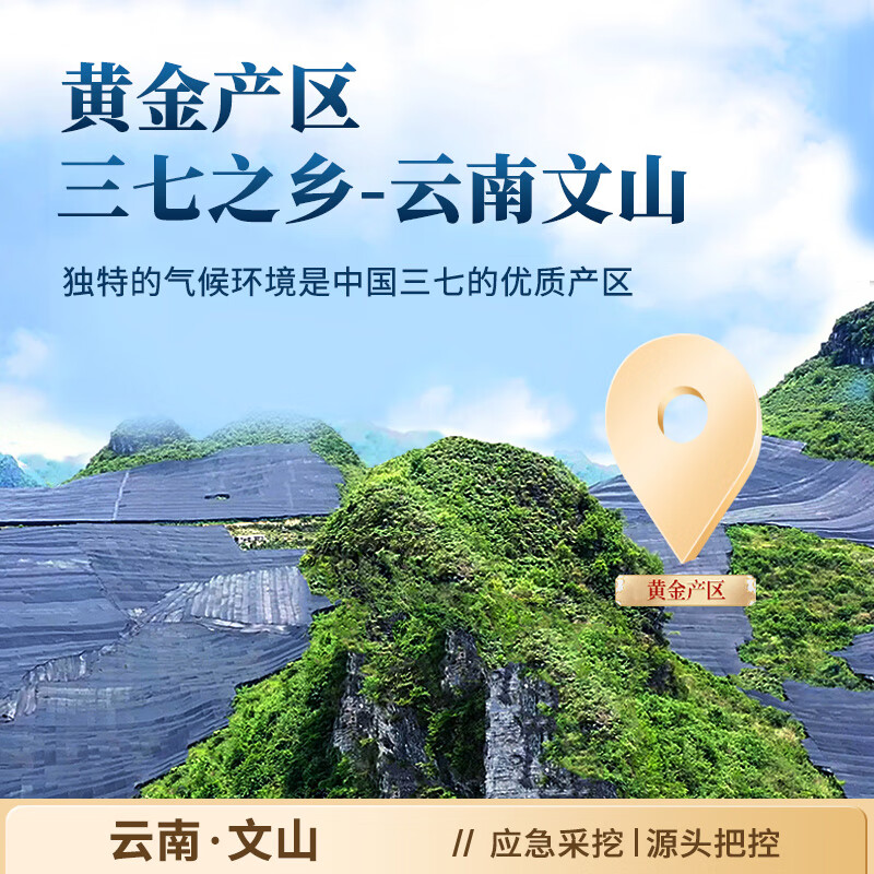 态乐美（TAILEMEI）云南文山三七粉高皂苷含量 粉质细腻 用于散瘀止血 消肿定痛 100g/罐