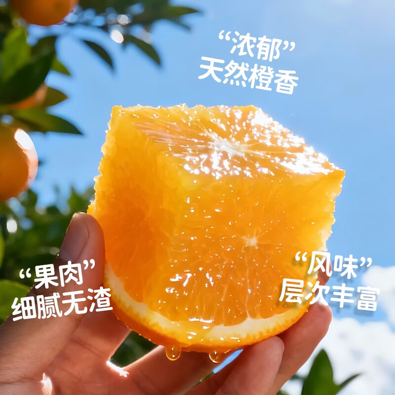 庾丰 正宗江西赣南脐橙 新鲜水果整箱 赣州橙子 团购彩箱送礼春节年货 10斤装 单果80mm-85mm+ 净重9斤