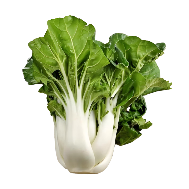 �ٺ��̰ײ������簫���ﴺ��С�ײ��߲����� Ϋ�������̰ײ�����30g