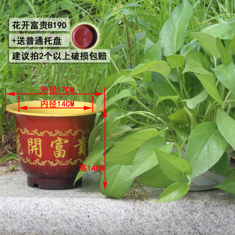 多肉玫瑰花盆栽花盆花盆 新花开富贵b190 塑料 x 参考尺寸表