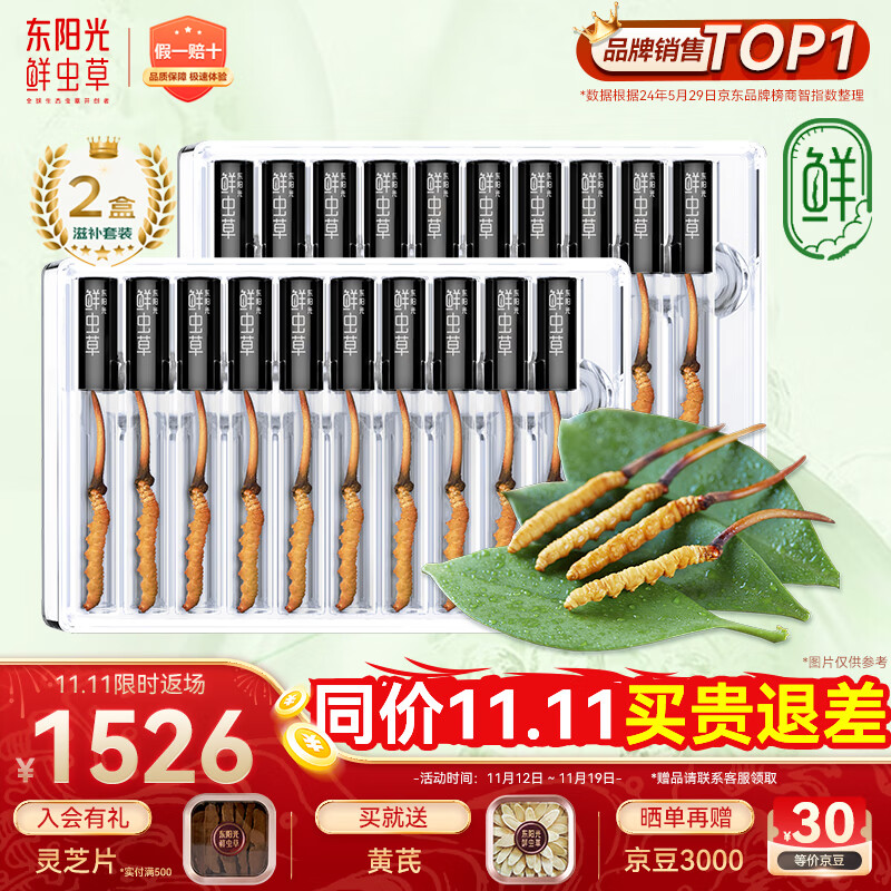 东阳光鲜虫草0.4-0.6g/根20根新鲜冬虫夏草补品送长辈老人源头直发包邮