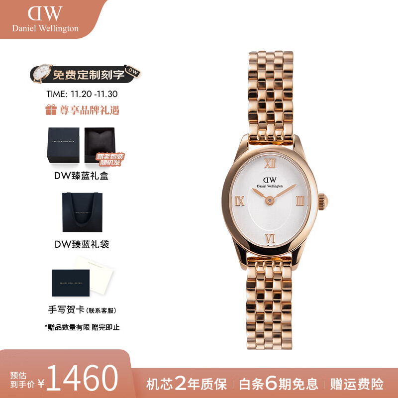 丹尼尔惠灵顿沈月同款DW手表女复古椭圆表女士石英手表欧美腕表七夕礼物送女友 冰川白椭圆表RG 25.5*22MM