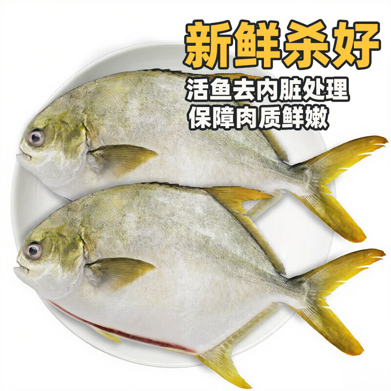 桂之海 桂（GUIZHIHAI）北海金鲳鱼新鲜杀好深海鱼鲜活去鳃去内脏冷冻生鲜特大开腹金昌鱼 5条超大【520-600g/条】新鲜杀好