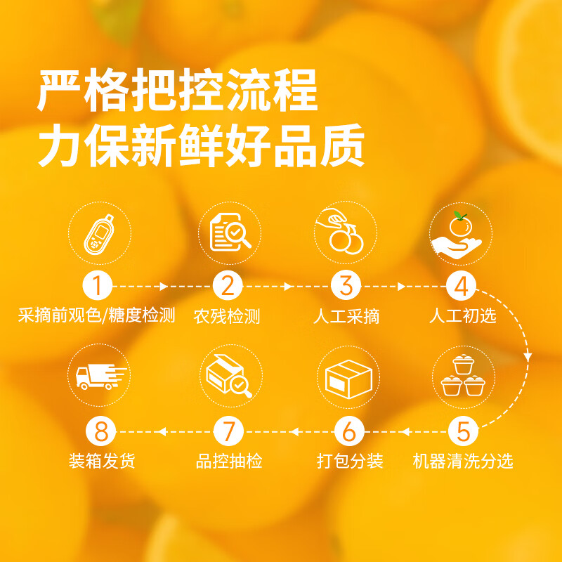 东方甄选脐橙产自赣南橙子香甜多汁新鲜应季水果坏果包赔过年年货 【5斤大果】单果240g+约 8-12个