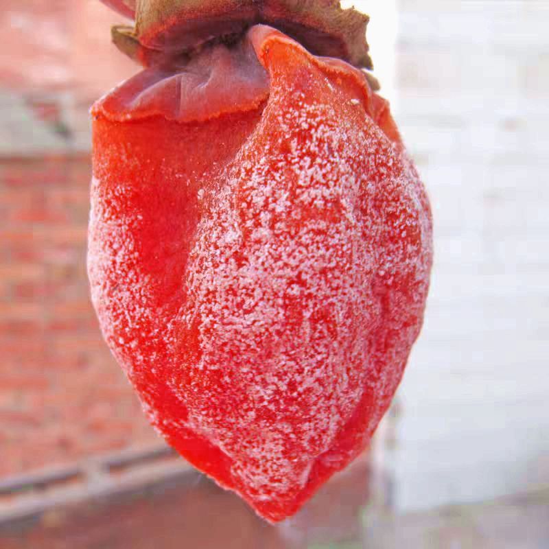 千园九味广西吊柿饼霜降流心柿饼子独立包装糖心年货新鲜农家自制干柿饼 优选流心柿饼2斤（净重1.8斤）