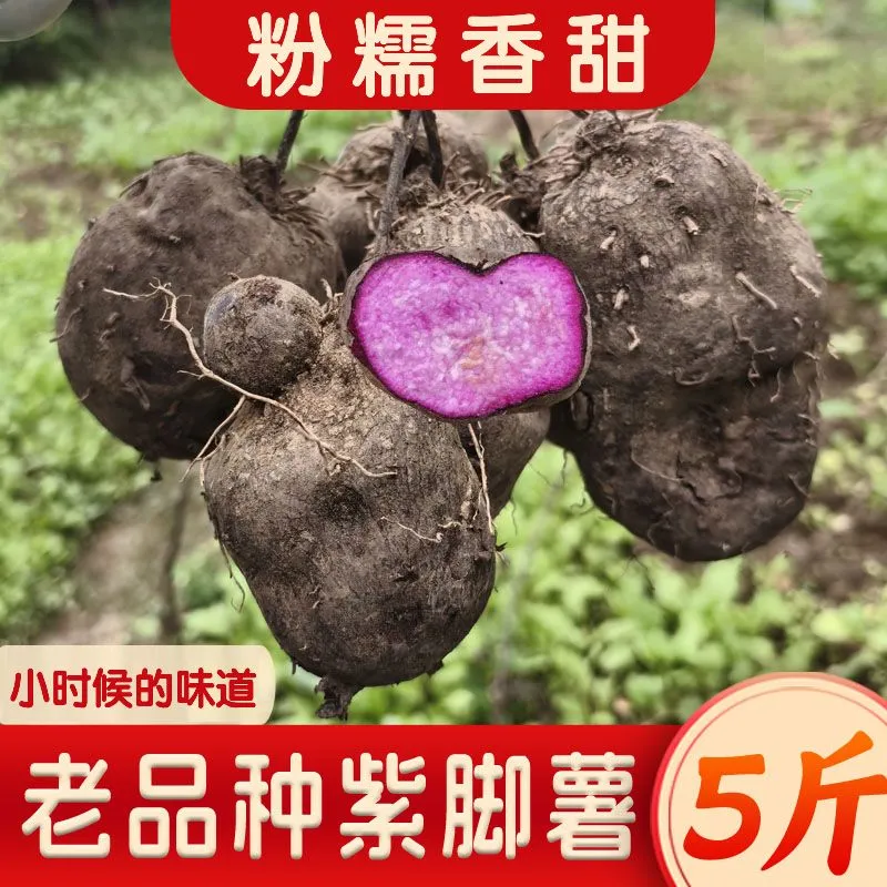 广西正宗脚板薯紫山药老品种紫色皮大薯火苕毛薯新鲜 5.4斤脚板薯（紫山药-形状不规则）含箱