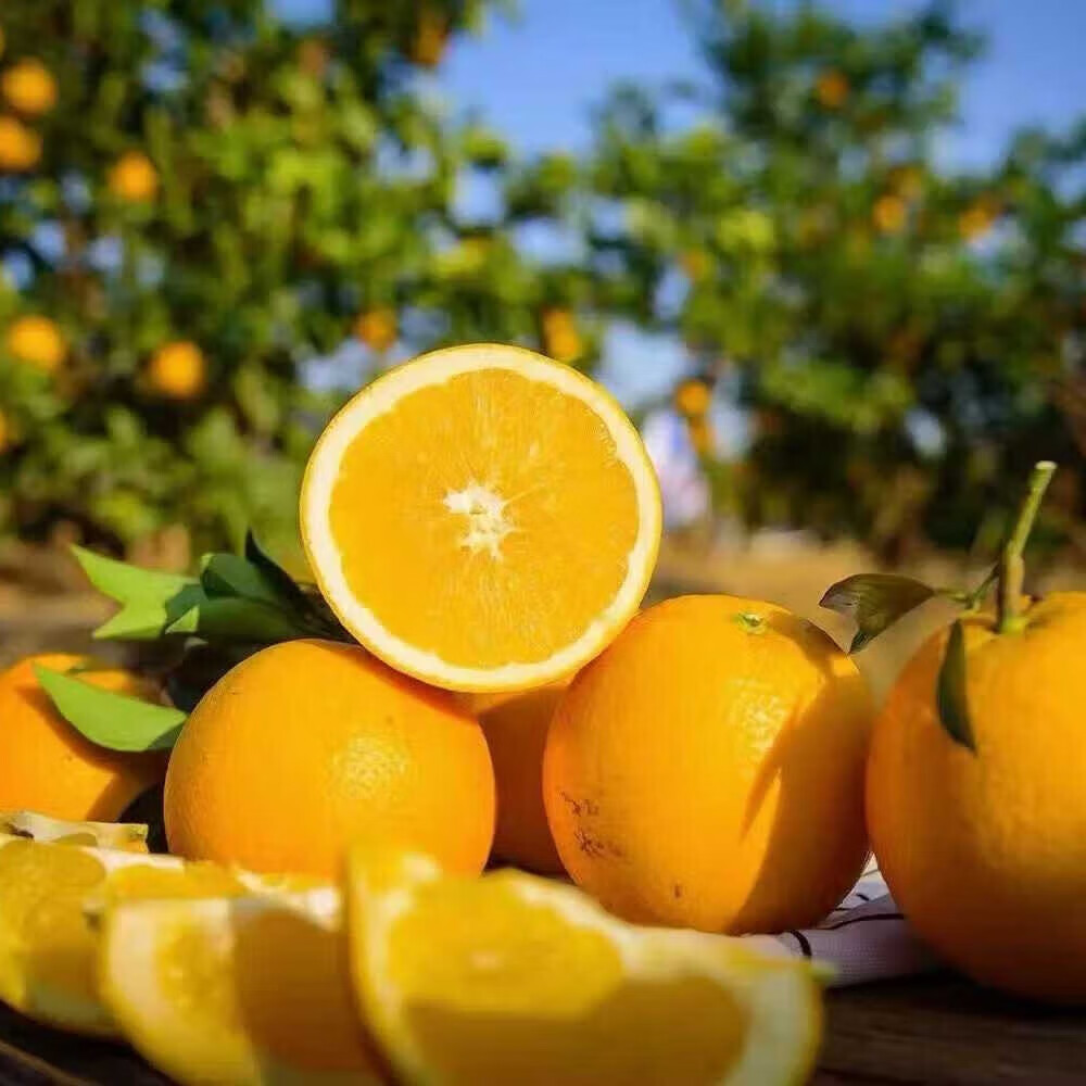 优鲜娃正宗赣南脐橙当季新鲜现摘橙子江西赣州直发应季水果礼盒10斤 精品果[单果75-90mm]净重9-10斤