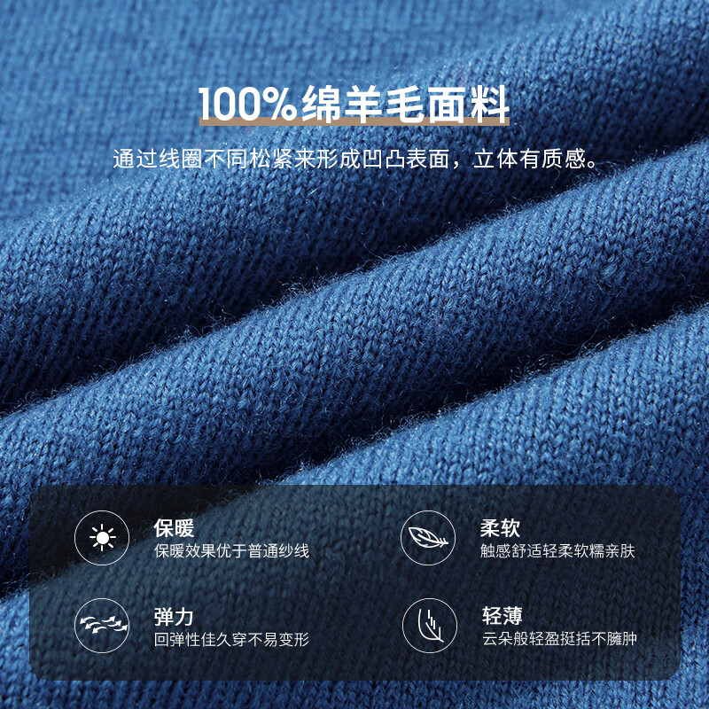 SHANSHAN杉杉【重磅430G】纯羊毛衫男2025冬季新款保暖内搭套头针织毛衣男 黑色 XL /180