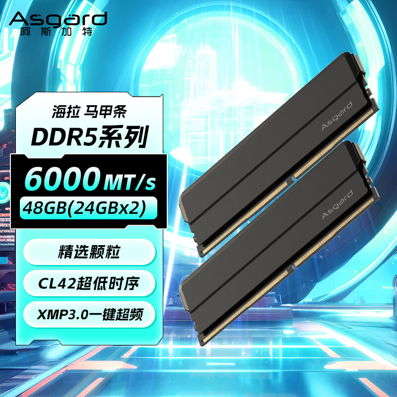 ��˹���أ�Asgard��48GB(24GBx2) DDR5 6000 ̨ʽ���ڴ��� ���� ������ ��ѡ���� CL42 ��ҹ��