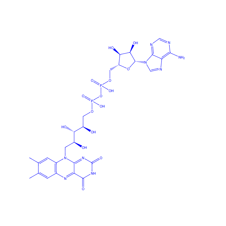 cas 146-14-5 黄素腺嘌呤二核苷酸 标准品 对照品 科研实验专用 5mg