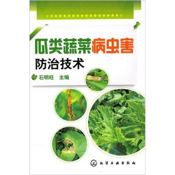 瓜类蔬菜病虫害防治技术 石明旺 编【正版书】